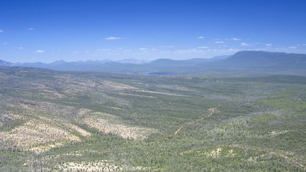 panorama of a blue mountain range in australia, national park