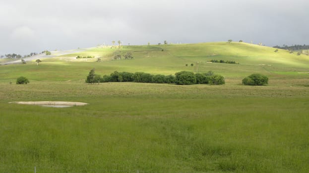 meadow on hill in sunlight, nice green landscape