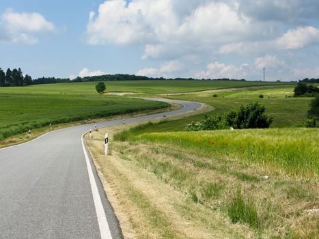 perfect road in landscape with fields, trees, and blue sky