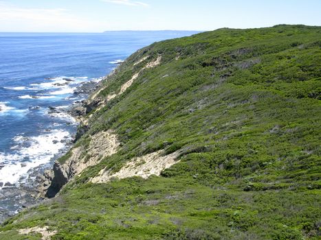 wild coast with cliffs and forest in south australia