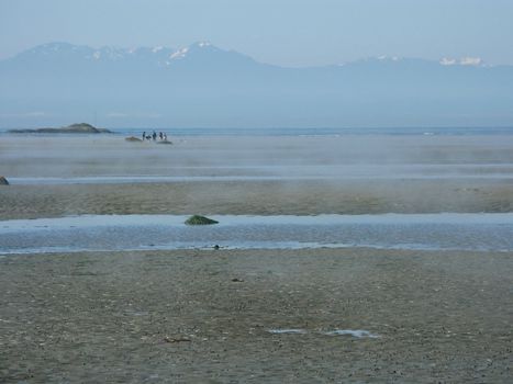 Low tide mud area with biologists in background