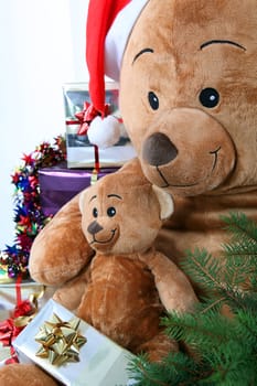 Teddy bears at Christmas