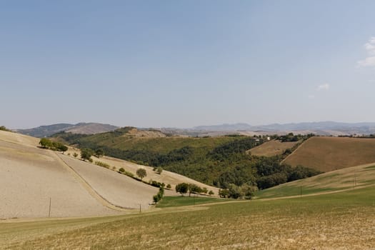 Landscape a rural field in Italy in a farm