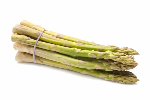 freshly harvested wild asparagus on white background