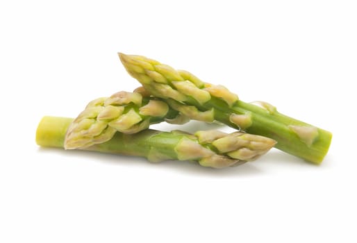 freshly harvested wild asparagus on white background