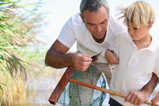 Father and son fishing with net
