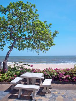 Recreational area in garden with Pong pong tree(also known as Indian Suicide tree, Othalanga), Bougainvillea(also known as Paper flower) and tropical beach