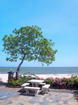 Recreational area in garden with Pong pong tree(also known as Indian Suicide tree, Othalanga), Bougainvillea(also known as Paper flower) and tropical beach