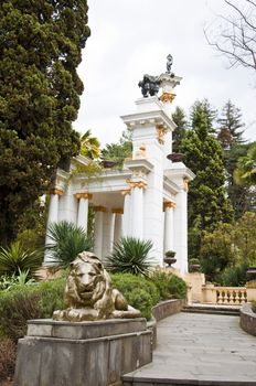 Natural arboretum park in city Sochi. Spring