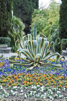Natural arboretum park in spring city Sochi