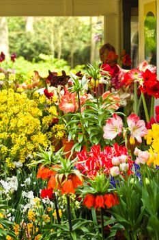 Flower shop with lots of beautiful flowers in spring
