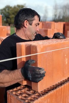 Builder laying bricks