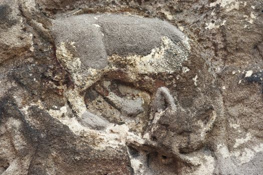Shot of the architectural detail - relief - fox