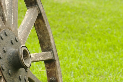 Old wooden wheel standing with grass background (Selective Focus)
