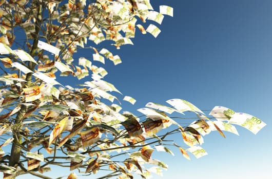 close up of a tree with 50 and 100 euro bills instead of the leaves on the left and the blue sky on background
