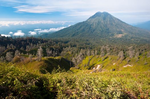 Gunung Merapi Volcano on Java Island in Indonesia