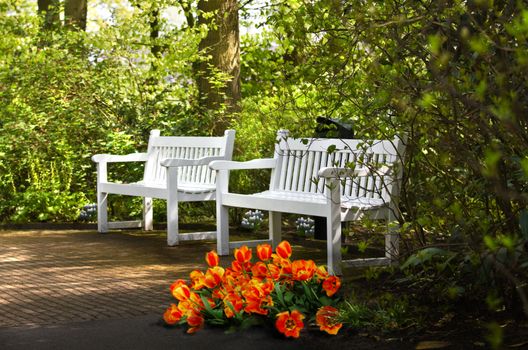 White benches and spring flowers under trees in park 