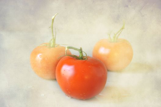 Three red tomatoes in a soft texture.