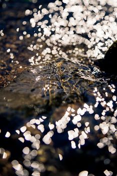 Abstract Water Flickers of a natural source