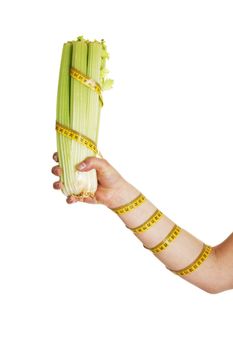 Female hand holding celery isolated on white background