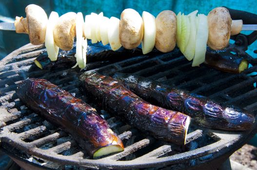 Vegetables cooked on the grill in the garden