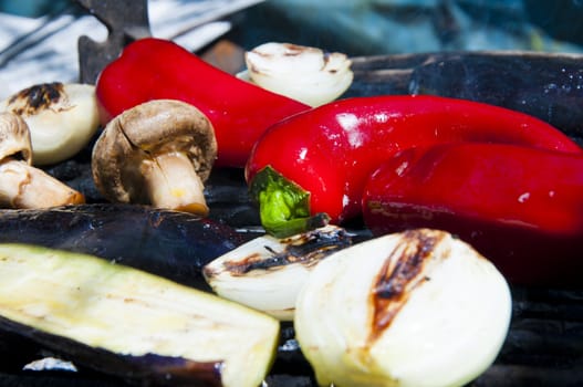 Vegetables cooked on the grill in the garden