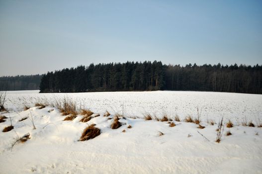 European landscape in winter: on fields snow starts to thaw
