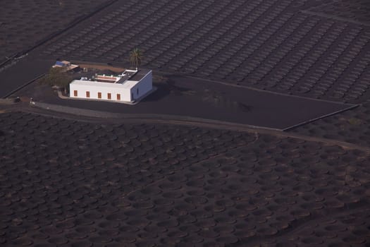Agricultural farm on fertile volcanic island of Lanzarote, Canary Islands with characteristic dark volcanic soil.