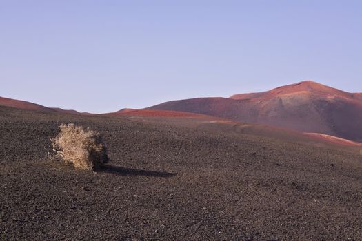 Landscape in Volcanic park Timanfaya on island Lanzarote, Canary Islands