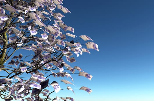 close up of a tree with 20 euro bills instead of the leaves on the left and the blue sky on background