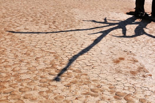 A shadow on dried, cracked mud in Deadvlei, Namibia