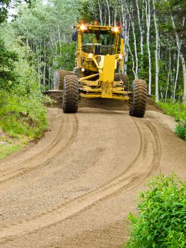 Large yellow grader resurfacing a narrow rural road through a poplar forest with fresh gravel