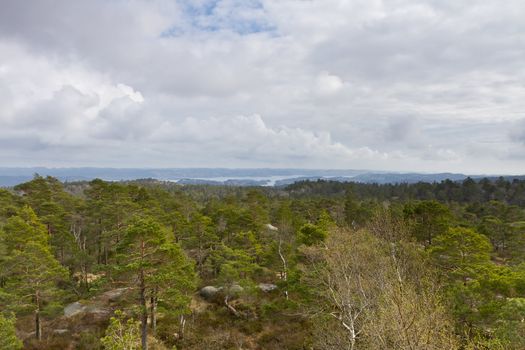 view over forest with cloudy sky - norway