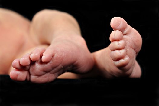 Little feet of a newborn baby