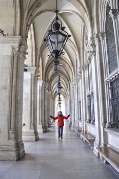 Vienna Rathaus in beautiful Vienna in Austria