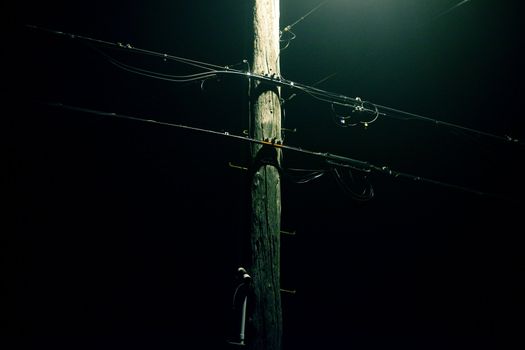 Telephone wires on a foggy night