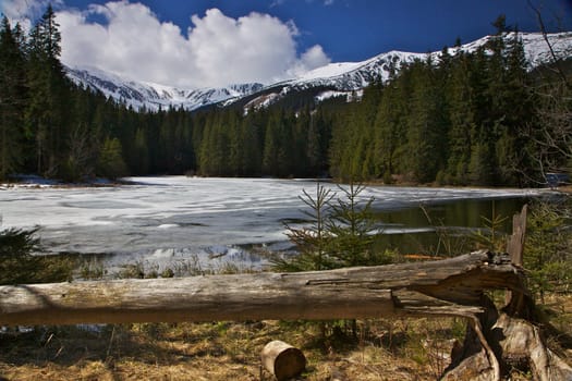 Demanovska Valley in Slovakia, National Park of Low Tatras, in early spring with snow melting