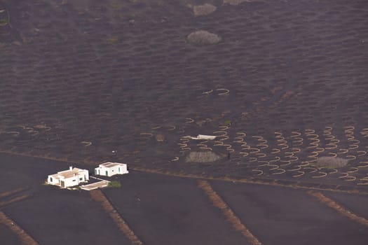 Agricultural farm on fertile volcanic island of Lanzarote, Canary Islands, with characteristic dark volcanic soil.