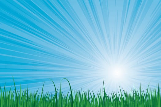 Sunburst blue sky green grass vector image.