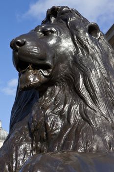 Lion statue in Trafalgar Square, London.