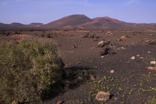 Burren landscape in Timanfaya national park on volcanic island Lanzarote, Canary Islands