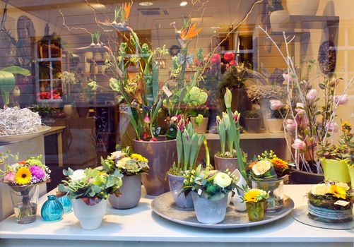 Showcase floral shop. Den Bosch,  Netherlands