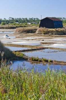 saline, Port des Salines, Oleron Island, Poitou-Charentes, France