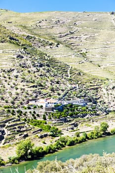 Douro Valley, Portugal