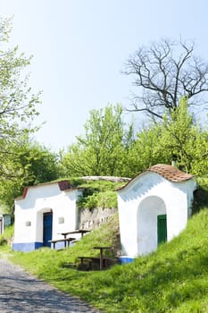 wine cellars, Petrov - Plze, Czech Republic