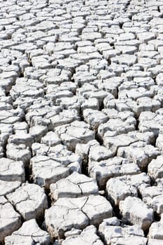 dry land, Parc Regional de Camargue, Provence, France