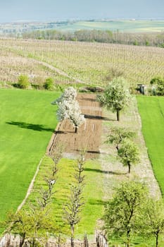 landscape near Vrbice, Czech Republic