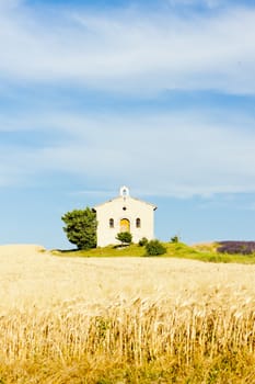 chapel with grain field, Plateau de Valensole, Provence, France