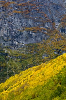 landscape near Melkevollbreen Glacier, Jostedalsbreen National Park, near Brigsdal, Norway