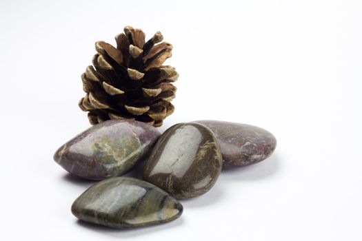 Shiny smooth Pebbles with a pine cone